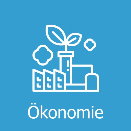 Okonomie Icon